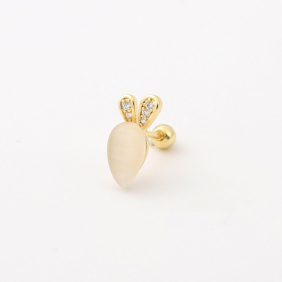 TRAGUS