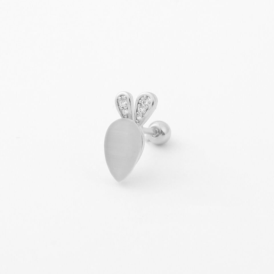 TRAGUS(Kopya)