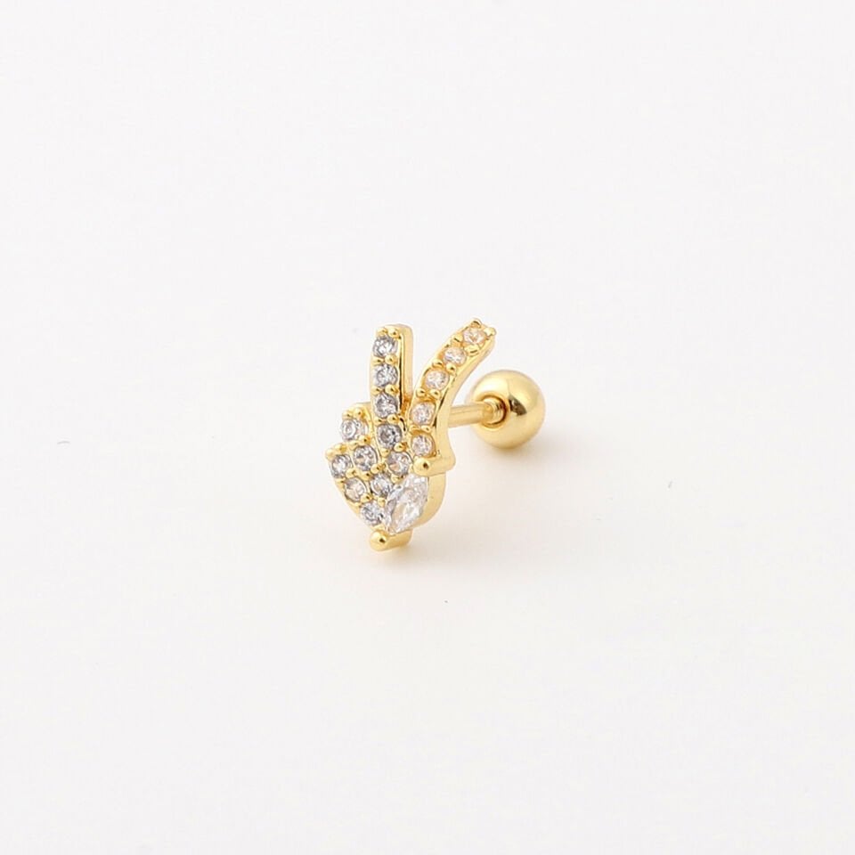 TRAGUS