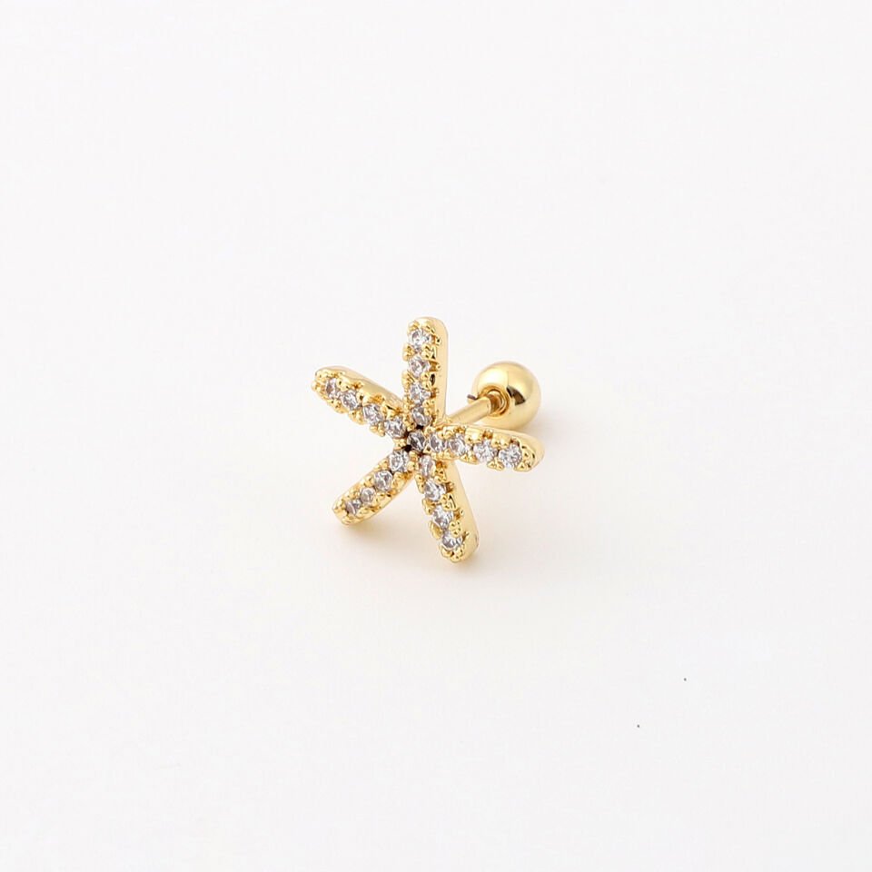 TRAGUS