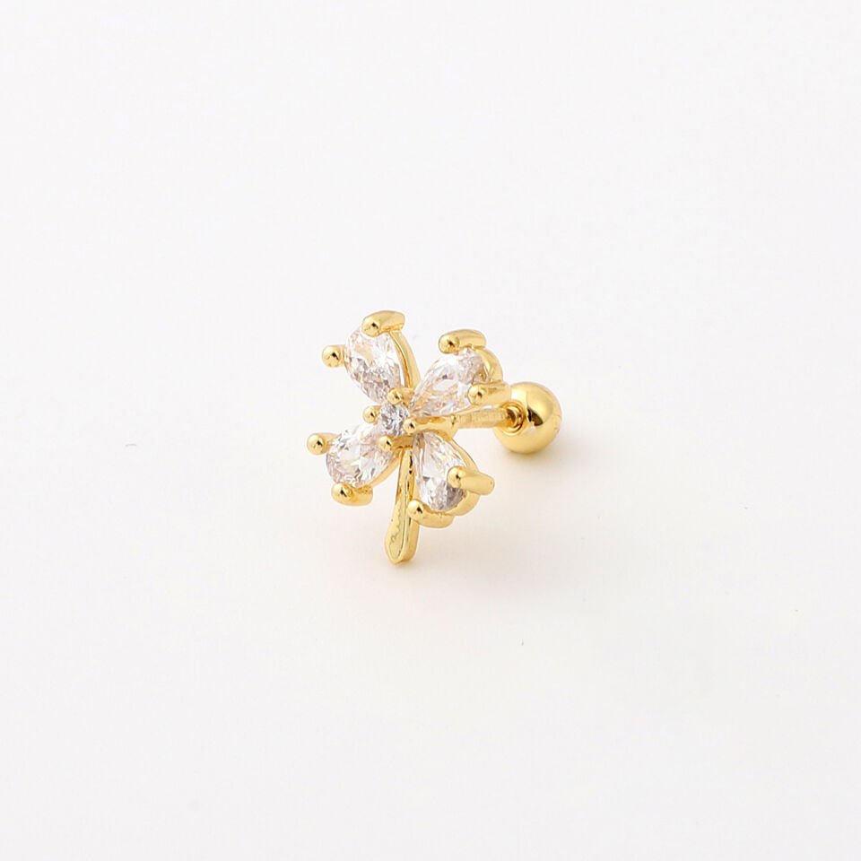 TRAGUS
