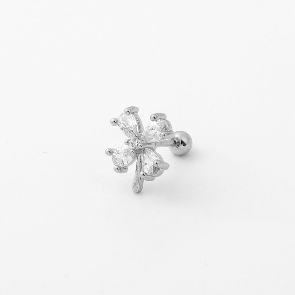 TRAGUS