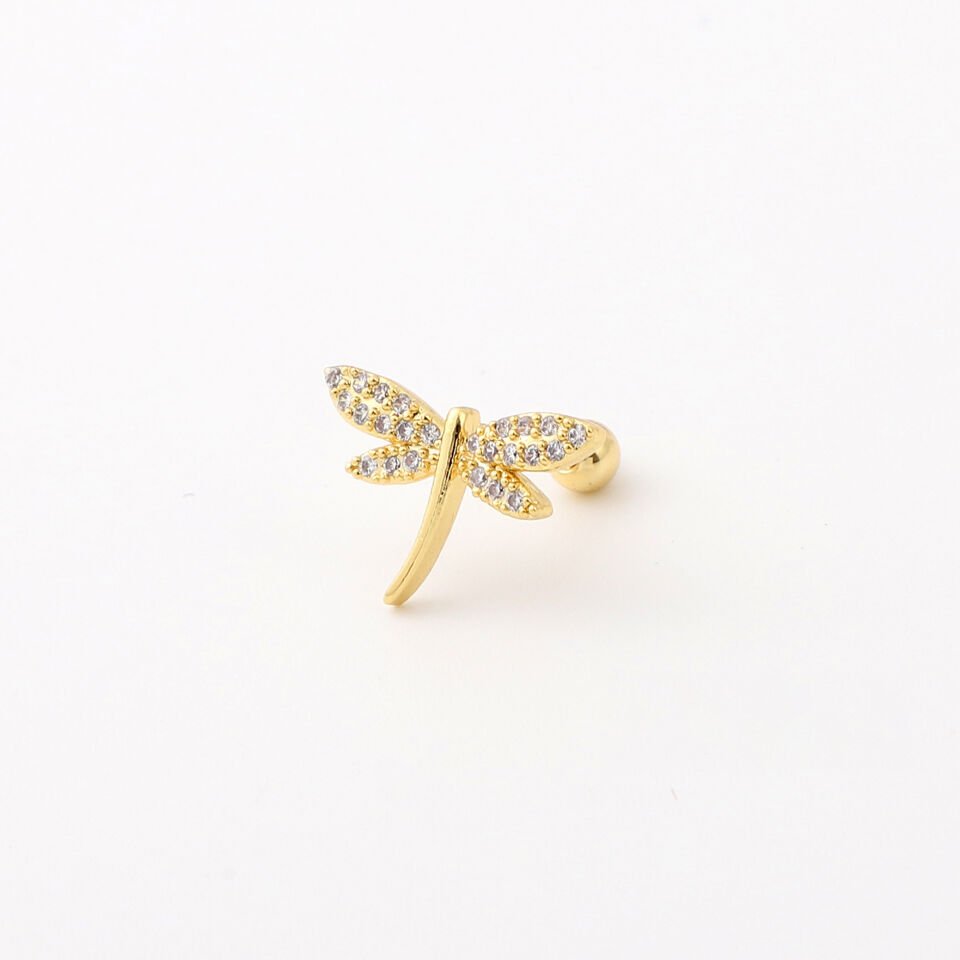 TRAGUS