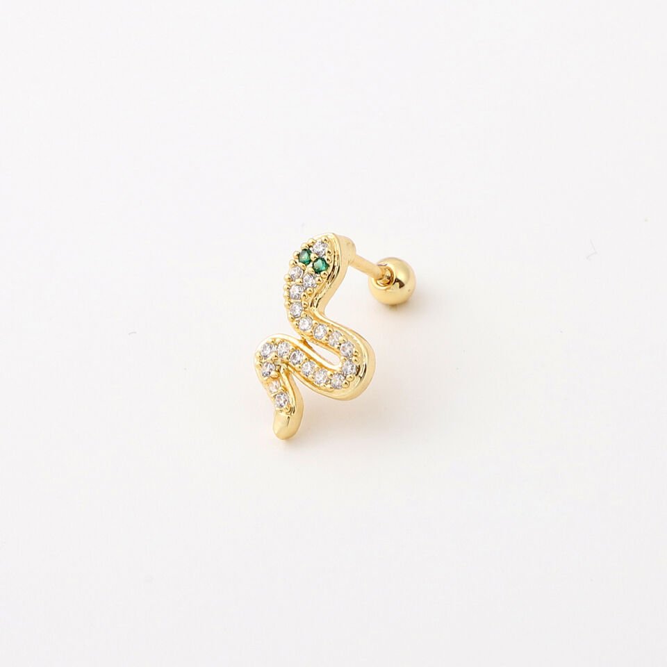 TRAGUS
