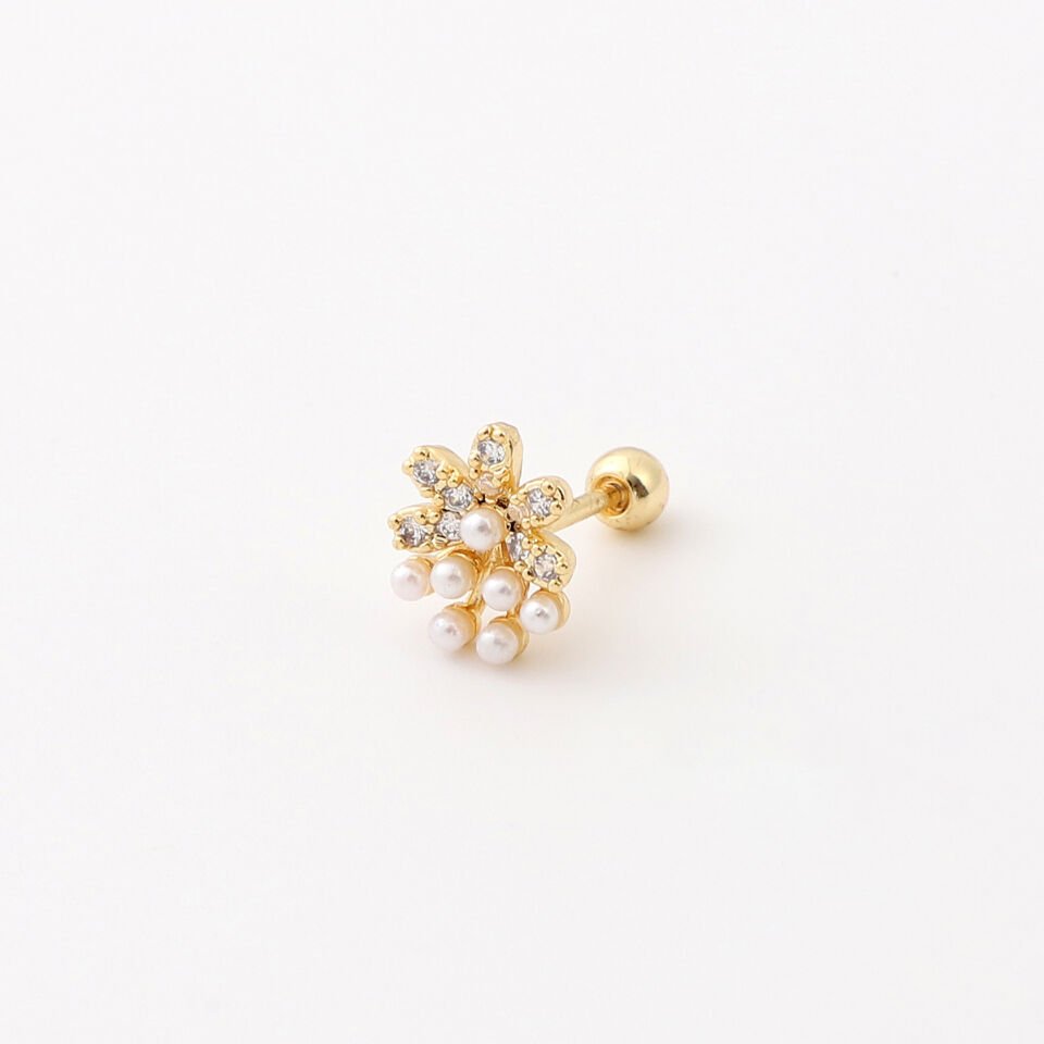 TRAGUS