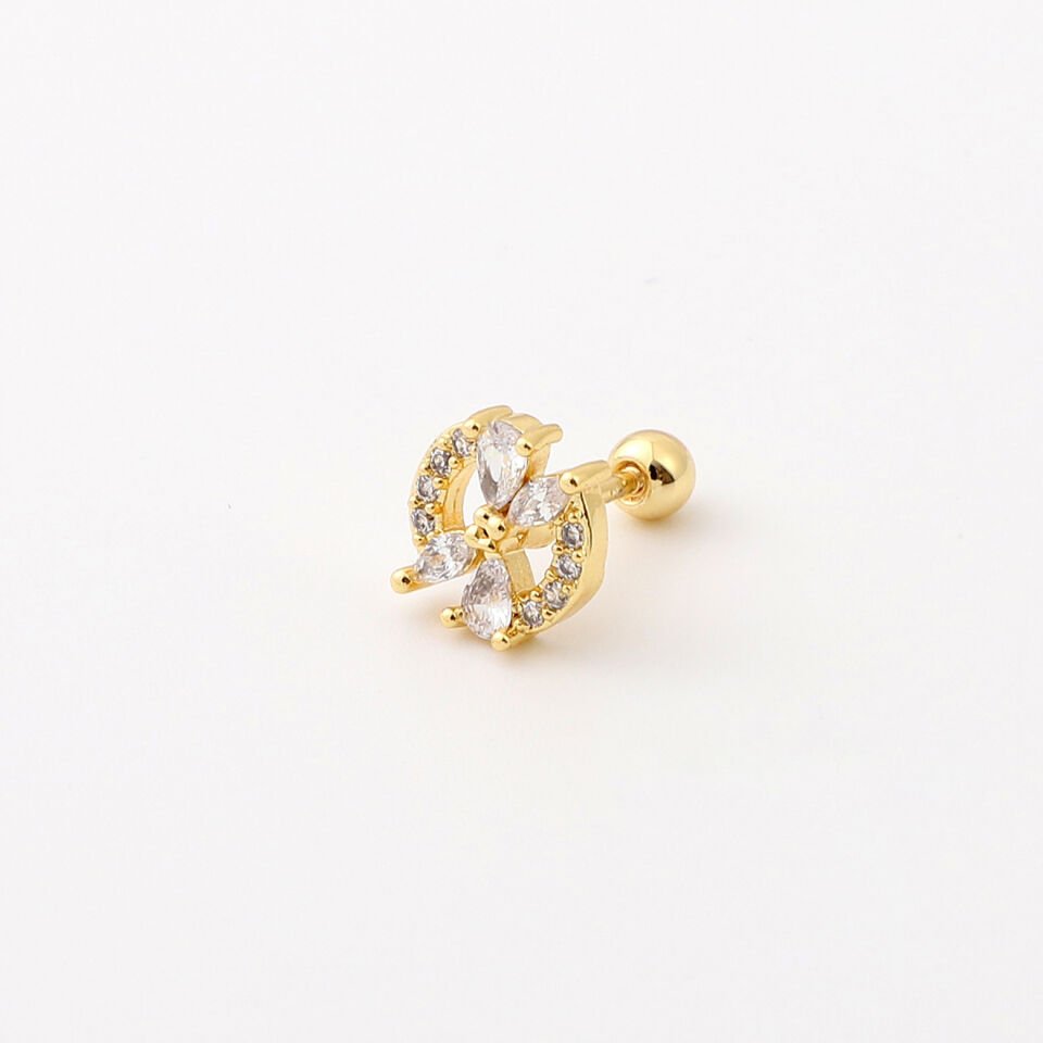 TRAGUS