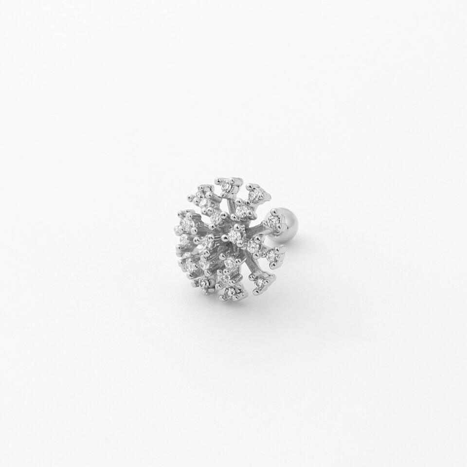 TRAGUS