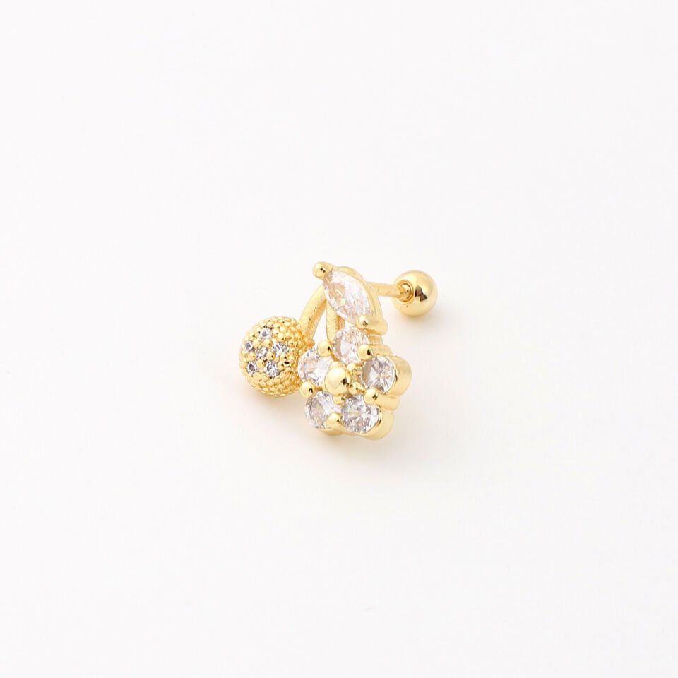 TRAGUS