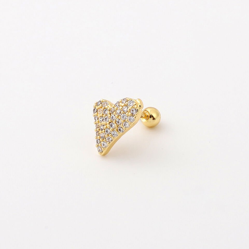 TRAGUS