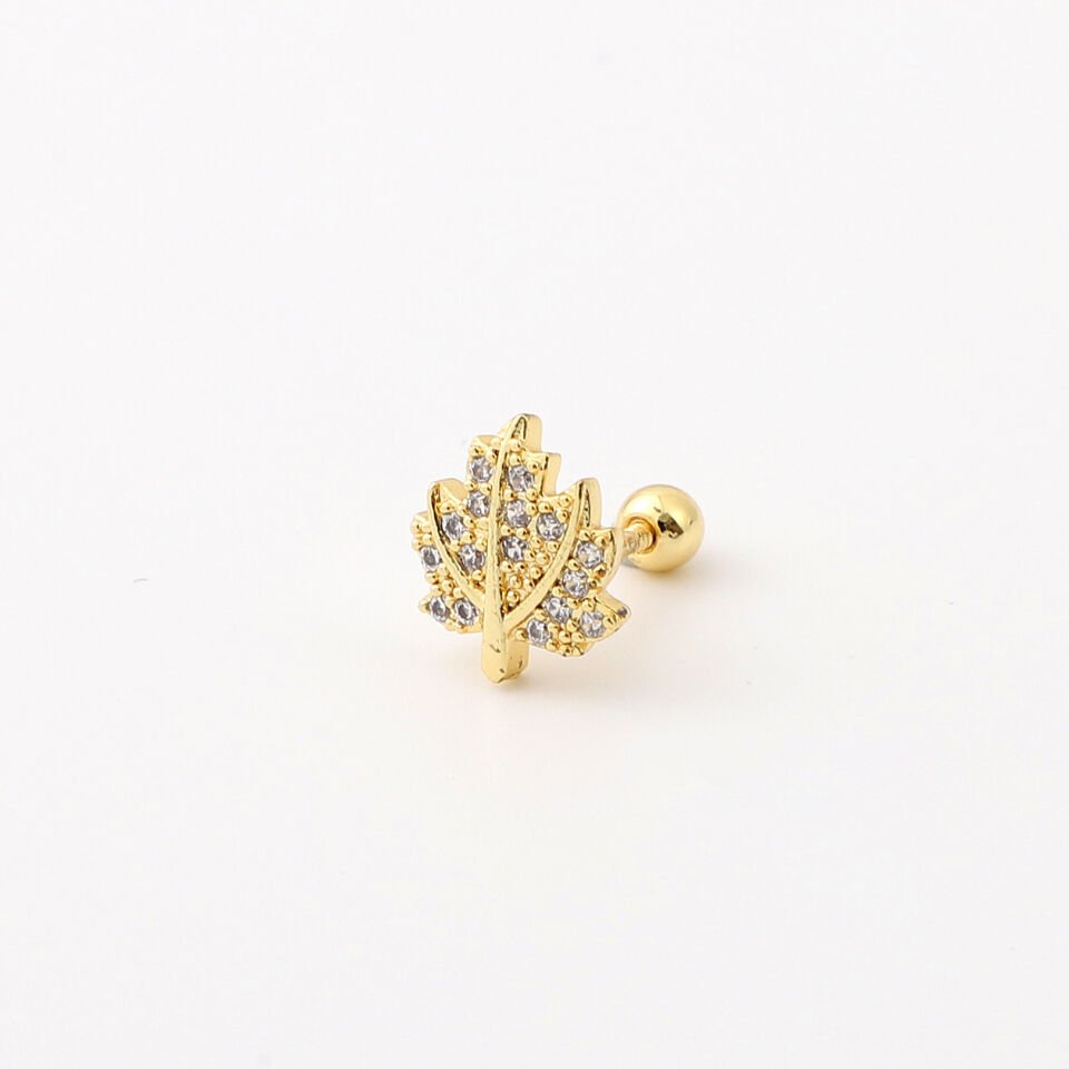 TRAGUS
