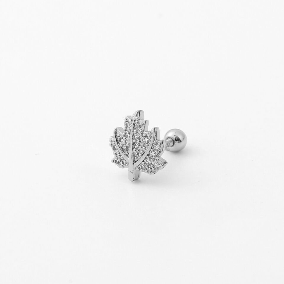TRAGUS